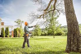 Best Grass Overseeding  in Itasca, IL